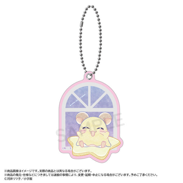 『とっとこハム太郎』~Twinkle Dreams~スライドミラー E.ちび丸ちゃん